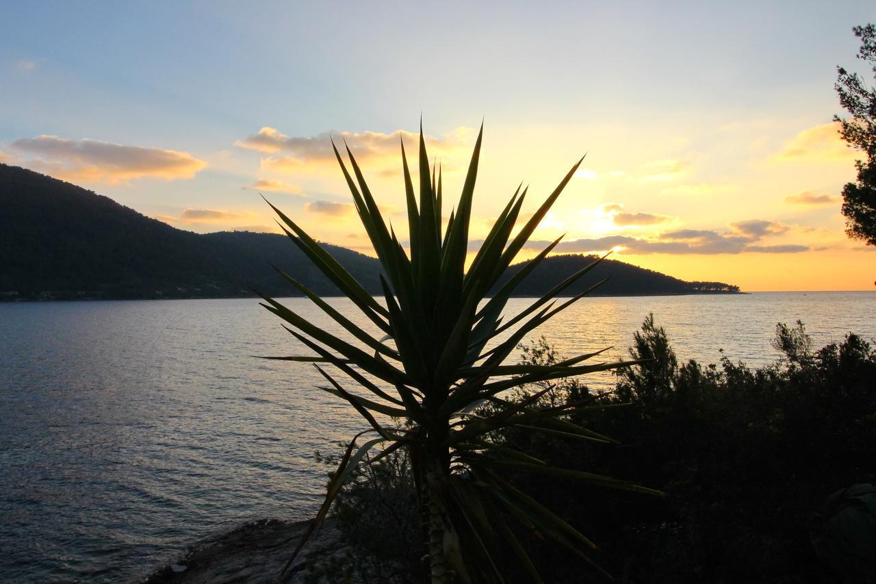 Holiday Home Bili Zal Vela Luka Exterior foto